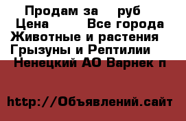 Продам за 50 руб. › Цена ­ 50 - Все города Животные и растения » Грызуны и Рептилии   . Ненецкий АО,Варнек п.